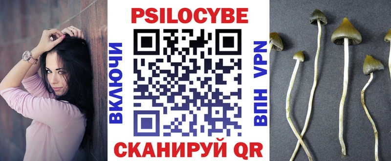 Псилоцибиновые грибы GOLDEN TEACHER  Купить закладки  Макарьев 